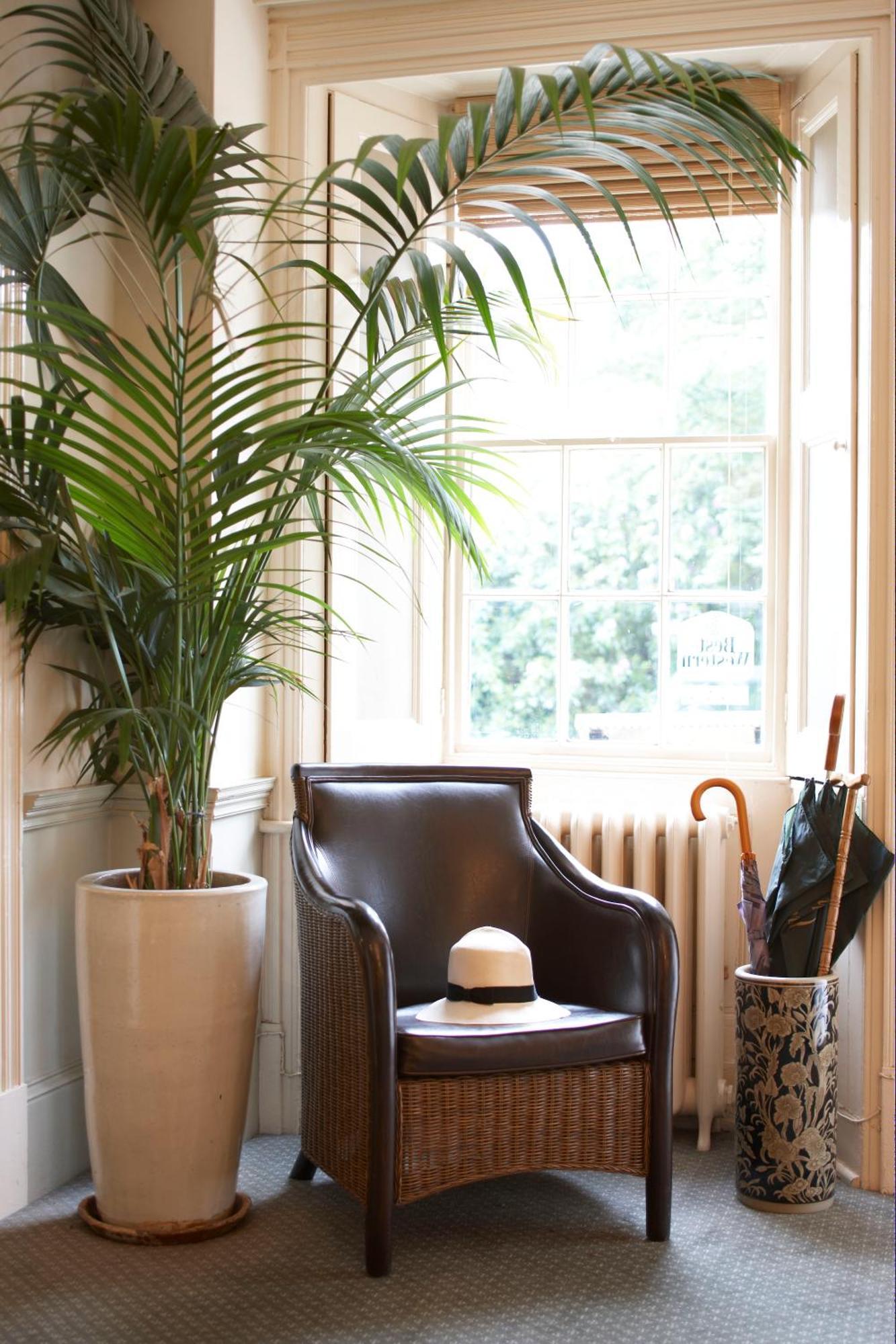 Flackley Ash Country House Hotel Peasmarsh المظهر الخارجي الصورة